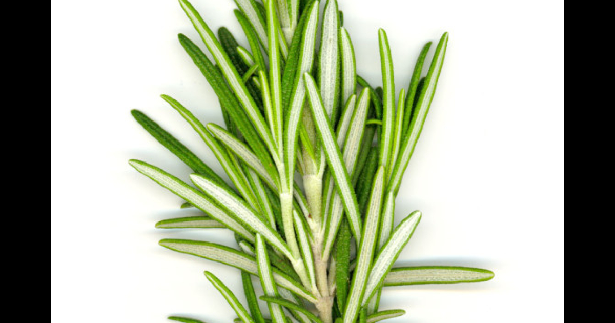 AliveNHealthy
